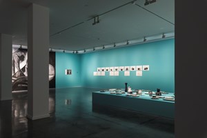 Museum of Contemporary Art Australia, Installation view: Marc Bauer, 21st Biennale of Syndey, Museum of Contemporary Art Australia, Sydney (16 March–11 June 2018). Courtesy the artist and Galerie Peter Kilchmann, Zürich. Photo: Document Photography.